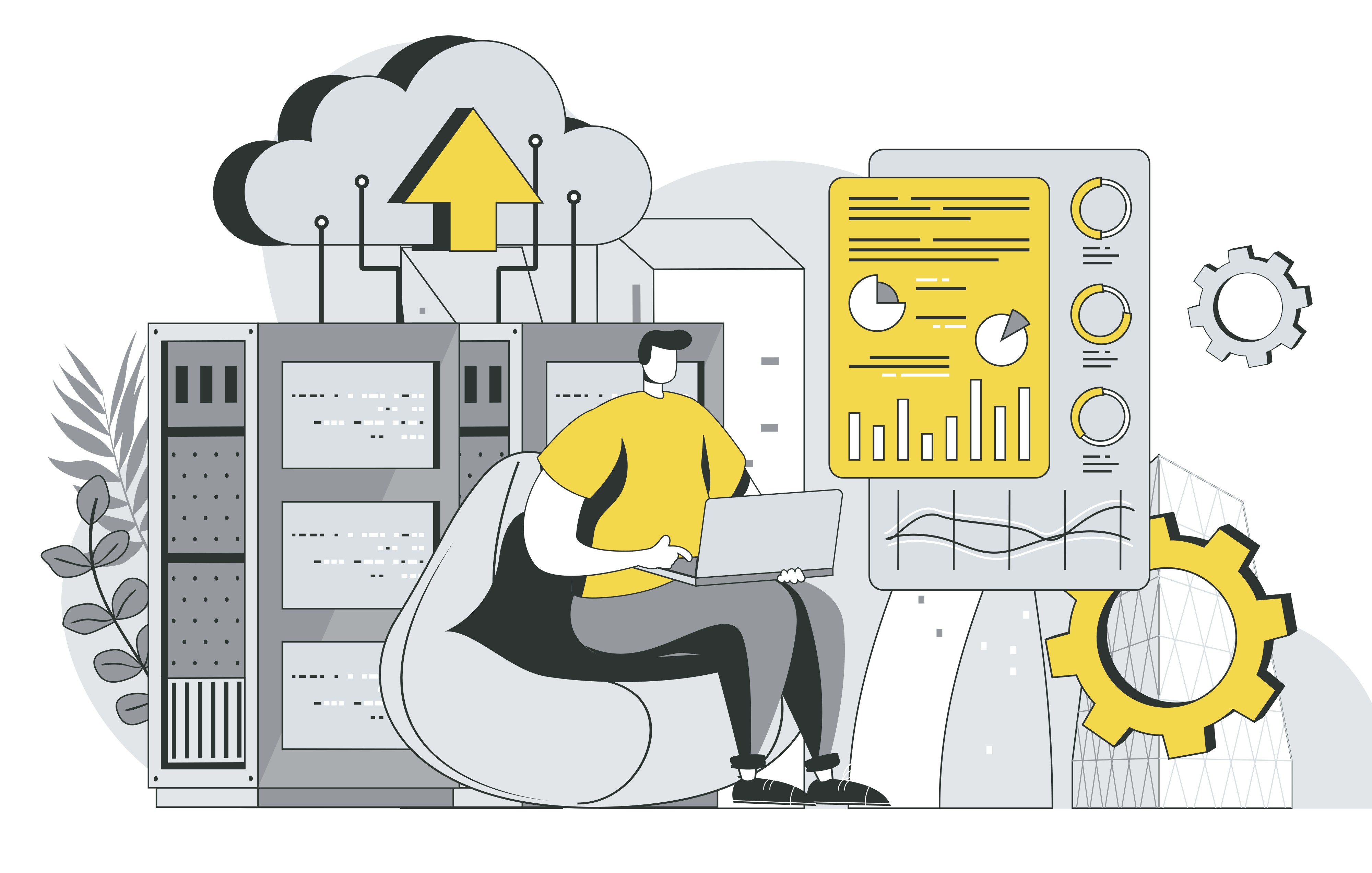 API Development — Software Development